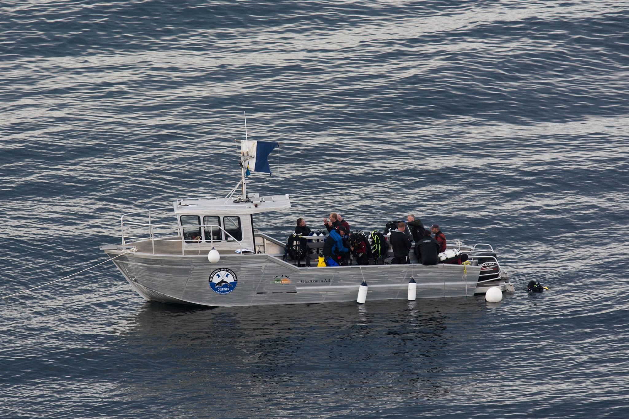 Delfinen på havet